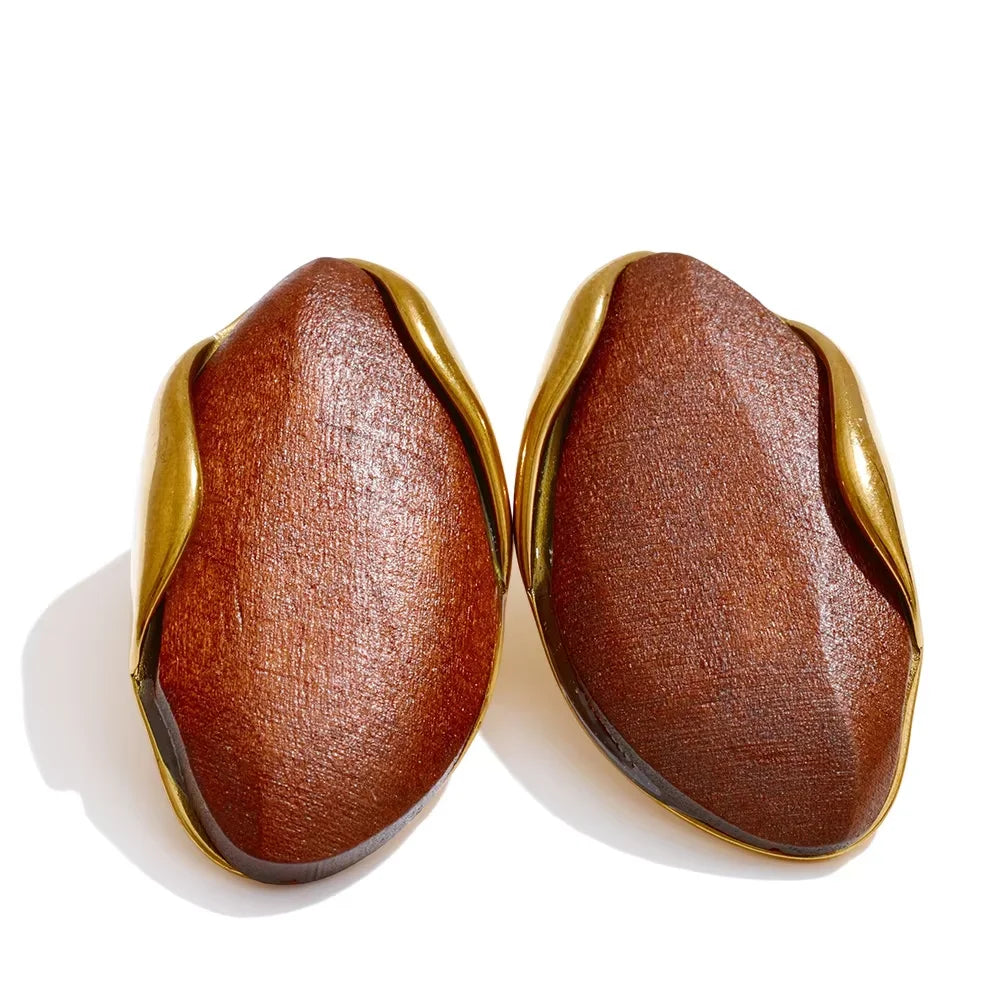 Multicolor Amber Resin Wood Earrings
